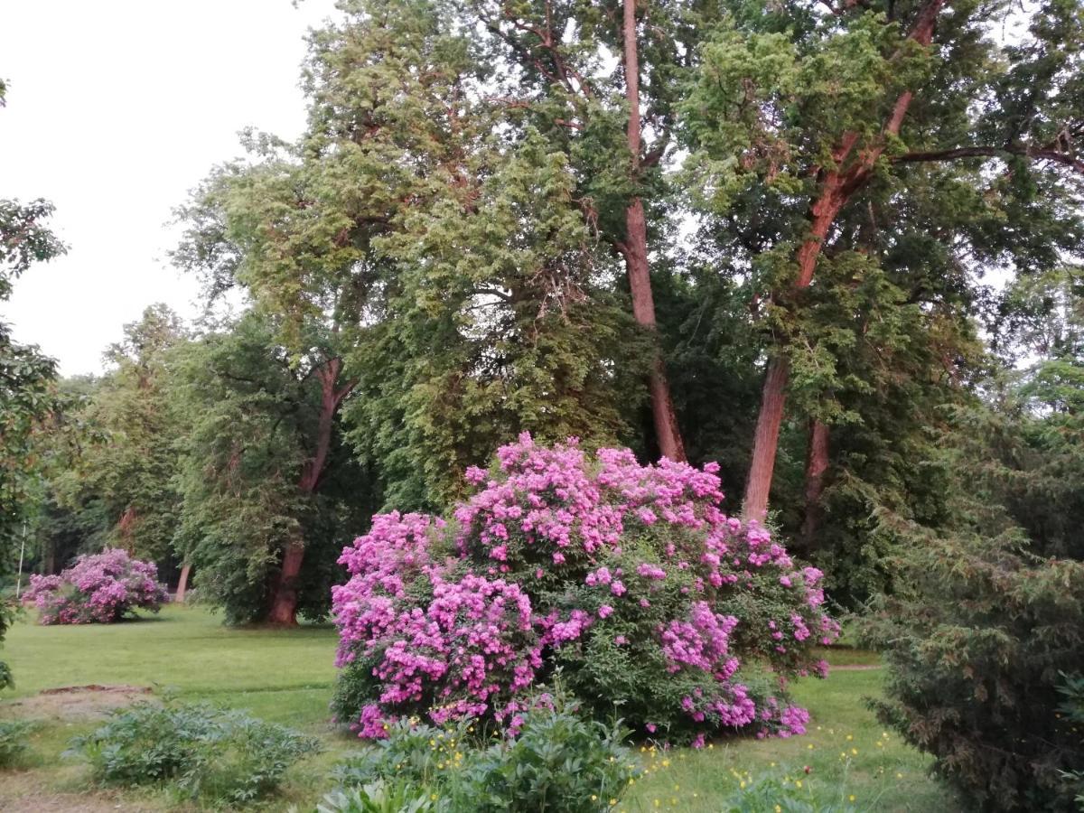 Palena Apartamenti Tērvete Buitenkant foto